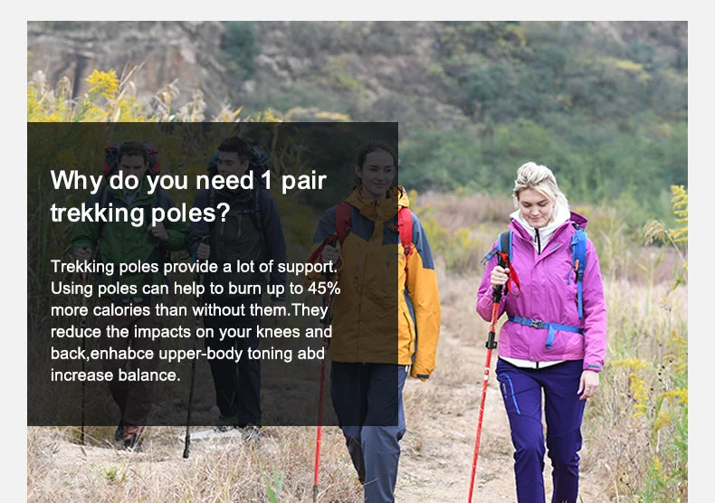 BSWOLF 2Pcs Ultralight Trekking Poles  Walking Sticks Hiking Canes  Folding Aluminum Walking Pole  Nodic Walking Sticks