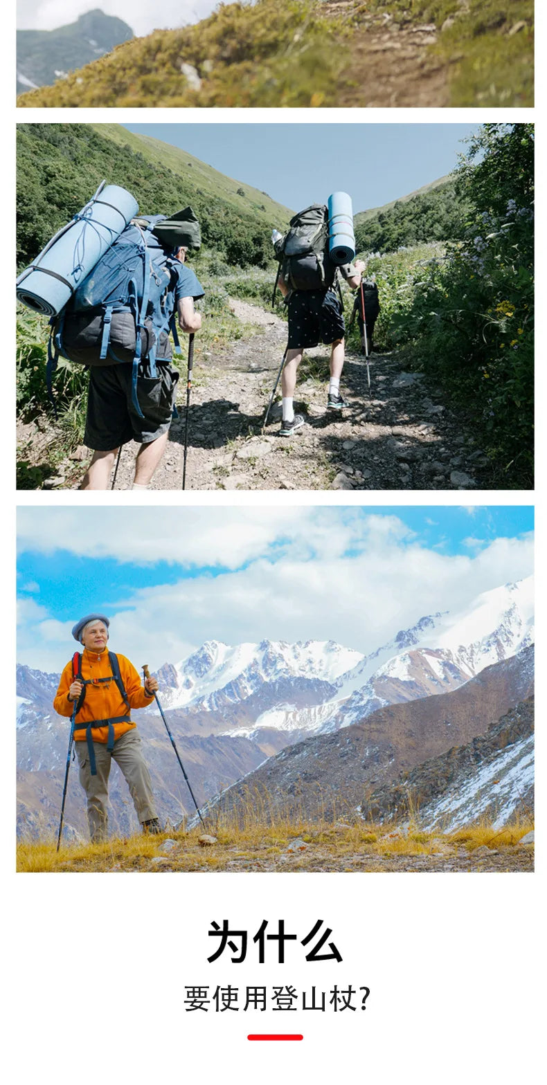 2 Pack Trekking Poles 5 Section 30-110cm Adjustable Folding Hiking Sticks Lightweight Aluminum Alloy Walking Staffs for Camping
