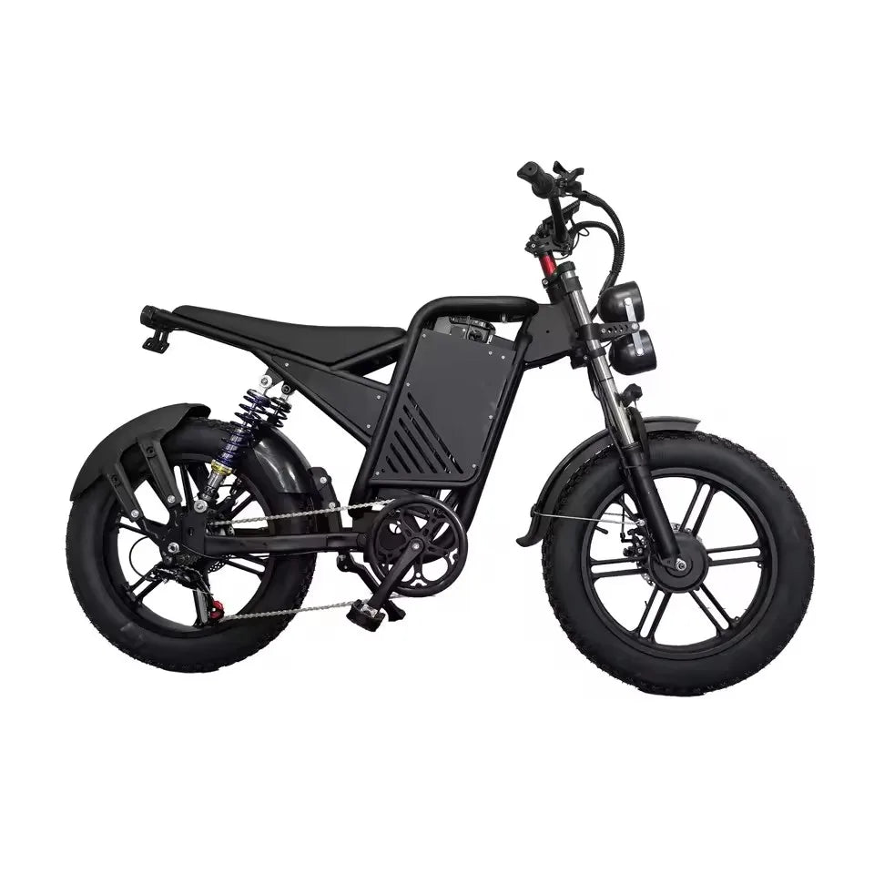 E-bike 20-inch double shock absorber, 1500W 48V 30AH endurance electric bicycle，leisure and entertainment off-road electric bike