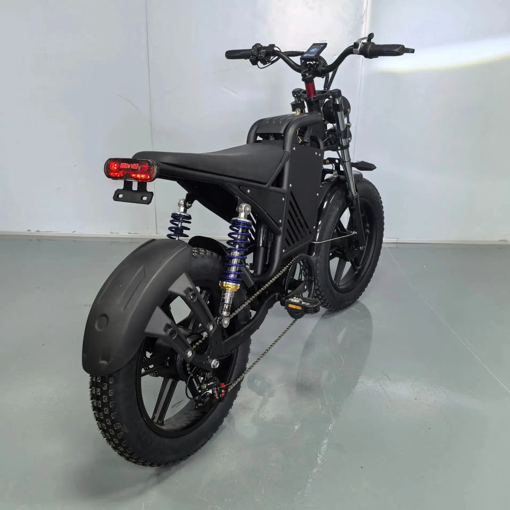 E-bike 20-inch double shock absorber, 1500W 48V 30AH endurance electric bicycle，leisure and entertainment off-road electric bike