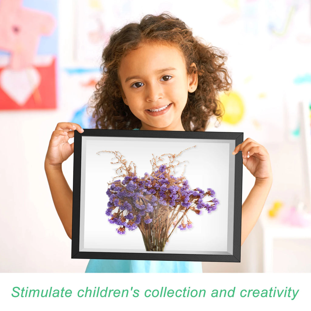 Shadow Box Picture Frame Wall Mounted Shadow Box Simple Elegant Display Cases Rectangle for Display Photos Medals Awards