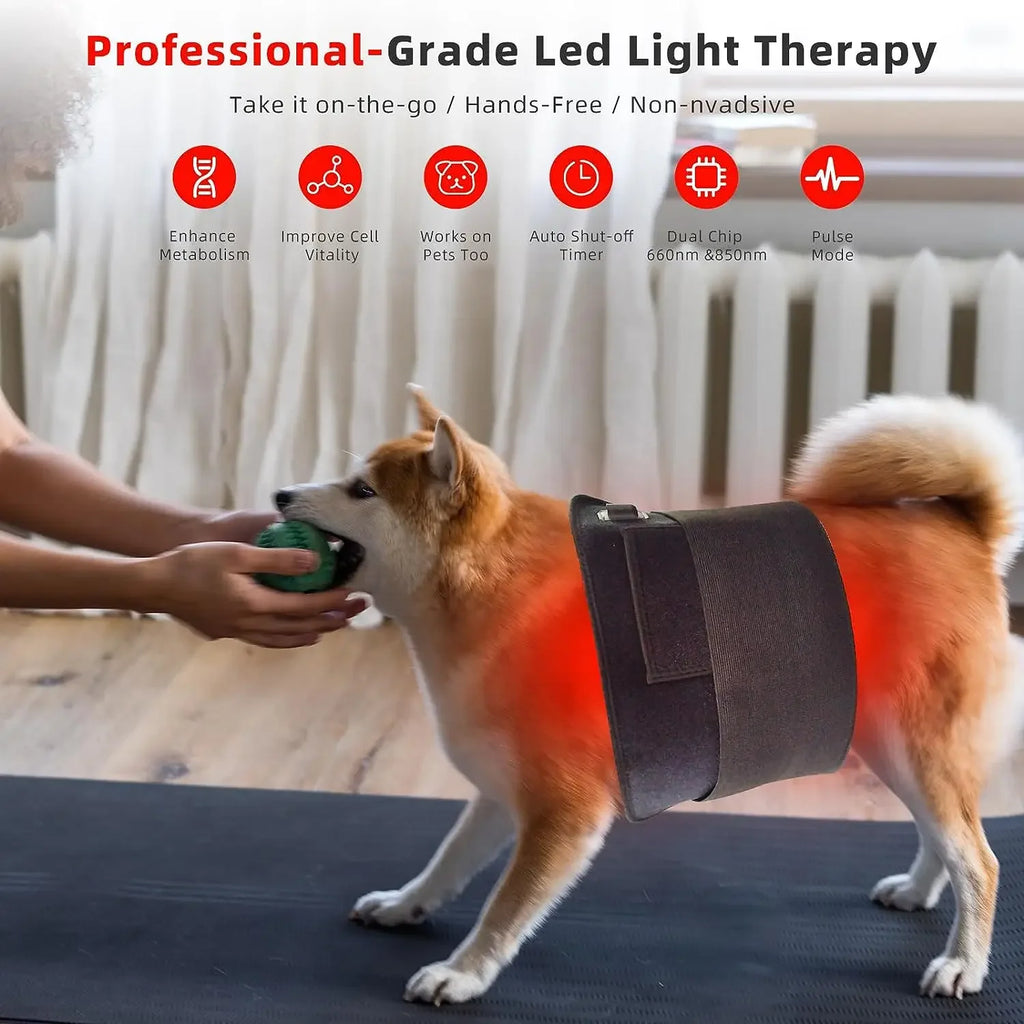 Portable Red Infrared Light Therapy Pad 660nm 850nm LED for Face Body Back Knee Hands Feet - Beauty Heat Relief Device