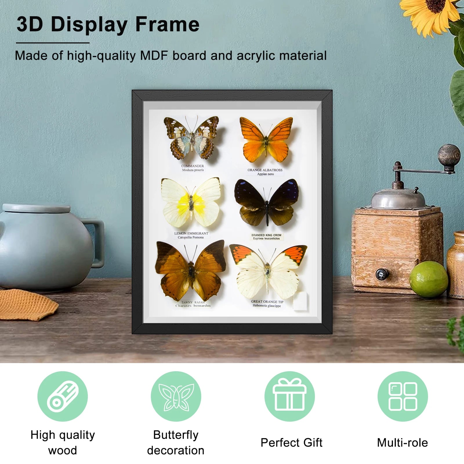 Shadow Box Picture Frame Wall Mounted Shadow Box Simple Elegant Display Cases Rectangle for Display Photos Medals Awards