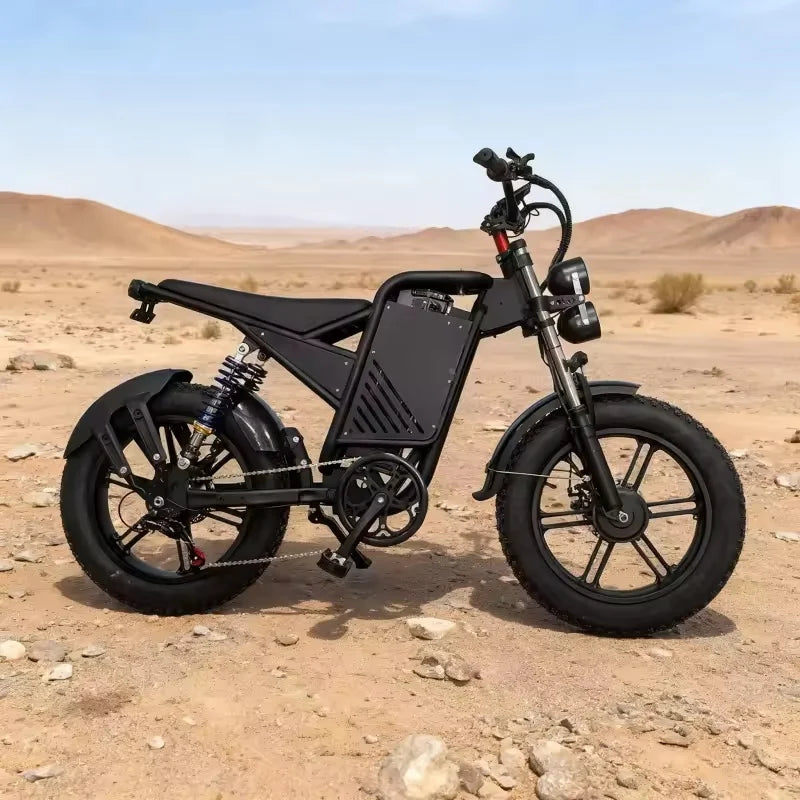 E-bike 20-inch double shock absorber, 1500W 48V 30AH endurance electric bicycle，leisure and entertainment off-road electric bike